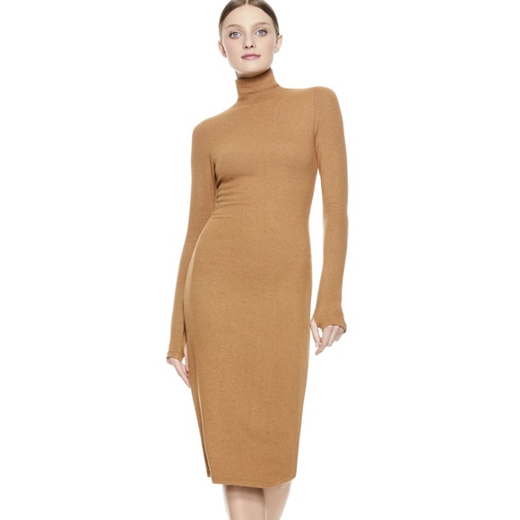 Alice + Olivia Delora Dress perfect color for the Fall! - Picture 2 of 9